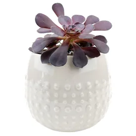 Beige Dot Planter