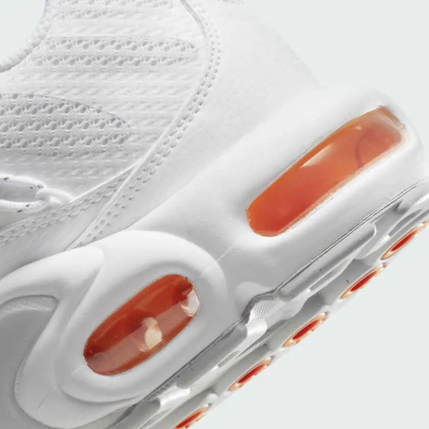 Nike Men's Air Max Plus Utility FJ4232 100